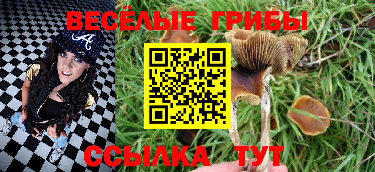 Псилоцибиновые грибы Psilocybe  Галлюциногенные грибы мицелий  Вход с VPN  Борисоглебск 